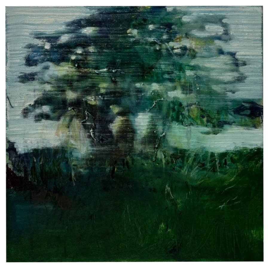BAUM MIT WIESE